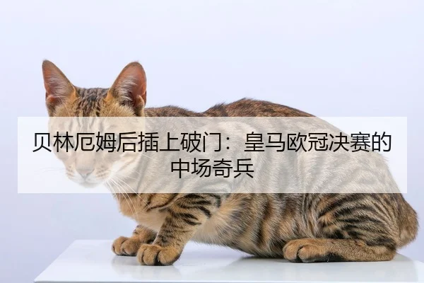 贝林厄姆后插上破门：皇马欧冠决赛的中场奇兵