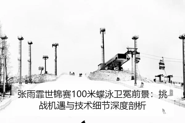 zhang-yu-fei-shi-jin-sai-mi-die-yong-wei-mian-qian-jing-tiao-zhan-ji-yu-yu-ji-shu-xi-jie-shen-du-pou-xi-2-339.jpg